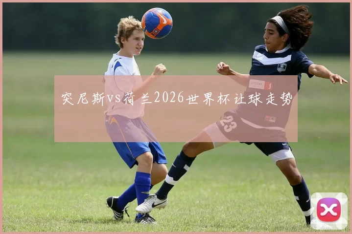 突尼斯vs荷兰2026世界杯让球走势