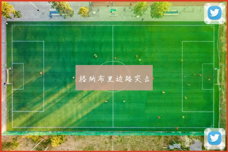 格纳布里边路突击