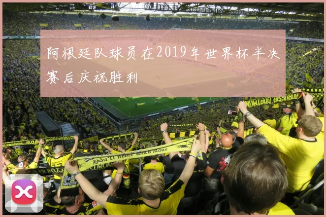 阿根廷队球员在2019年世界杯半决赛后庆祝胜利