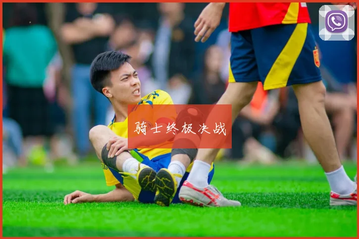 骑士终极决战
