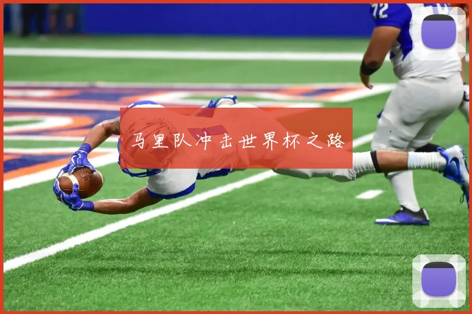 马里队冲击世界杯之路