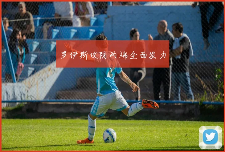 罗伊斯攻防两端全面发力