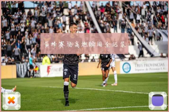 黄蜂赛场高燃瞬间全记录