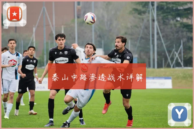 泰山中路渗透战术详解