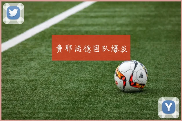 费耶诺德团队爆发