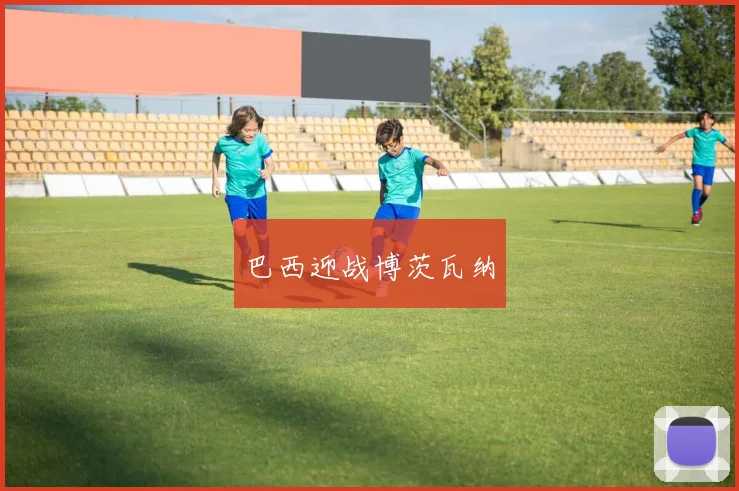 巴西迎战博茨瓦纳