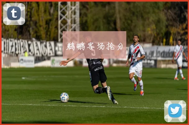 鹈鹕客场抢分