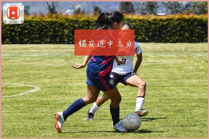 锡安连中三分