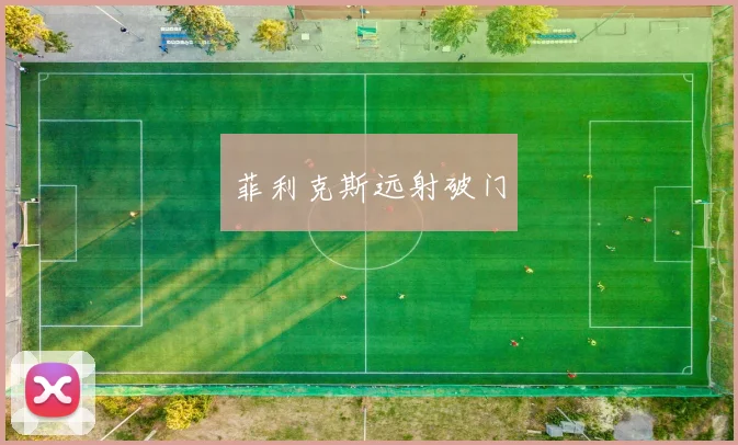 菲利克斯远射破门