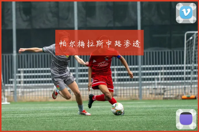 帕尔梅拉斯中路渗透