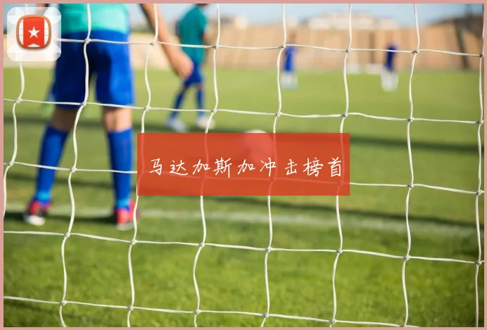 马达加斯加冲击榜首