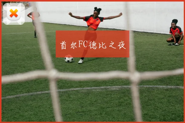首尔FC德比之夜