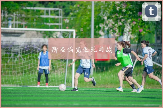 斯洛伐克生死之战