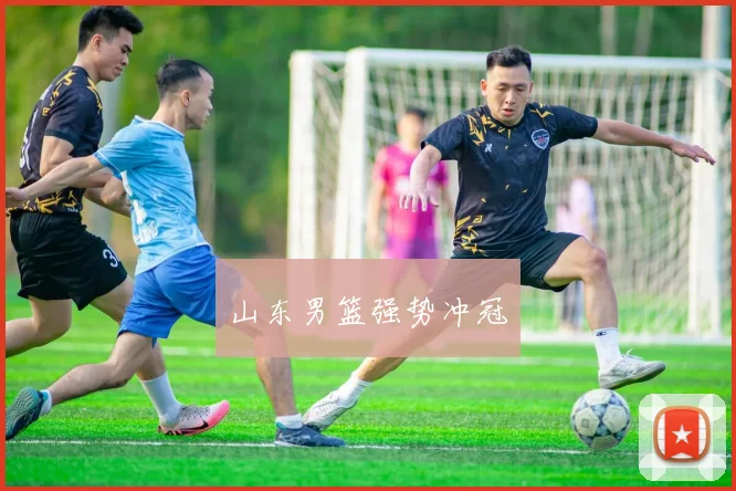 山东男篮强势冲冠