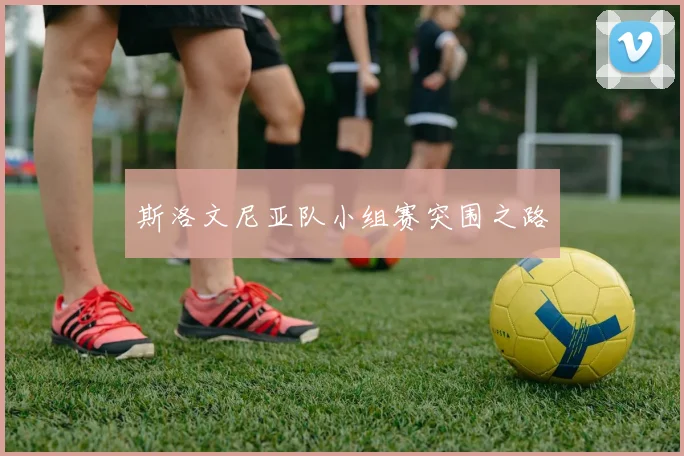 斯洛文尼亚队小组赛突围之路