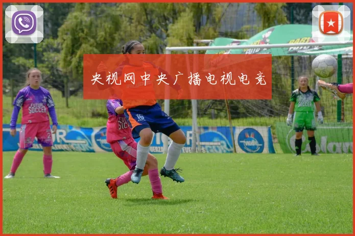 央视网中央广播电视电竞
