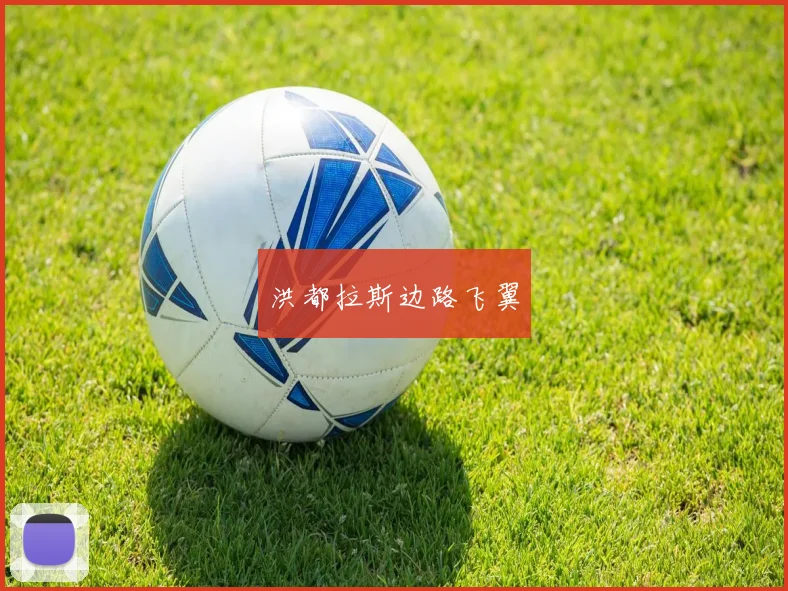 洪都拉斯边路飞翼