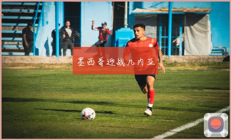 墨西哥迎战几内亚