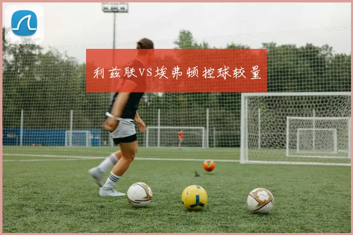 利兹联vs埃弗顿控球较量