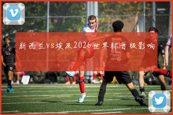 新西兰vs埃及2026世界杯晋级影响