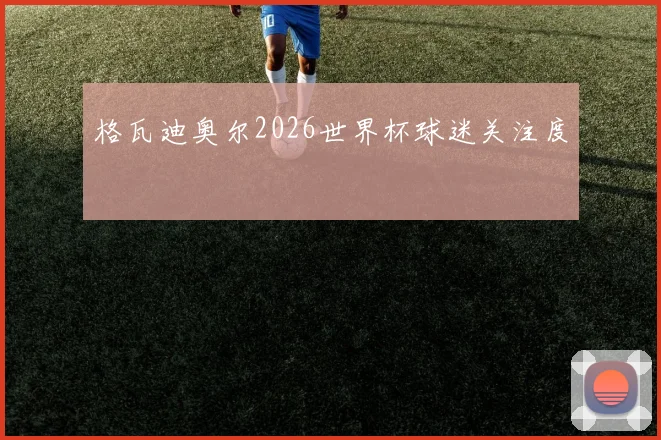 格瓦迪奥尔2026世界杯球迷关注度