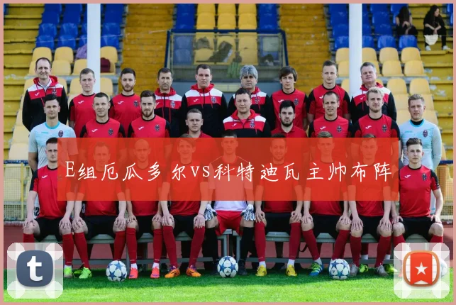 E组厄瓜多尔vs科特迪瓦主帅布阵