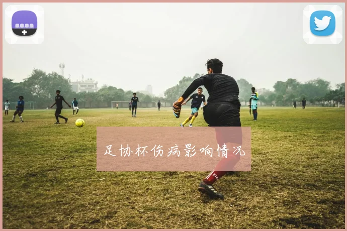 足协杯伤病影响情况