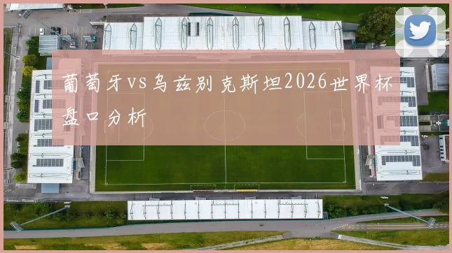 葡萄牙vs乌兹别克斯坦2026世界杯盘口分析